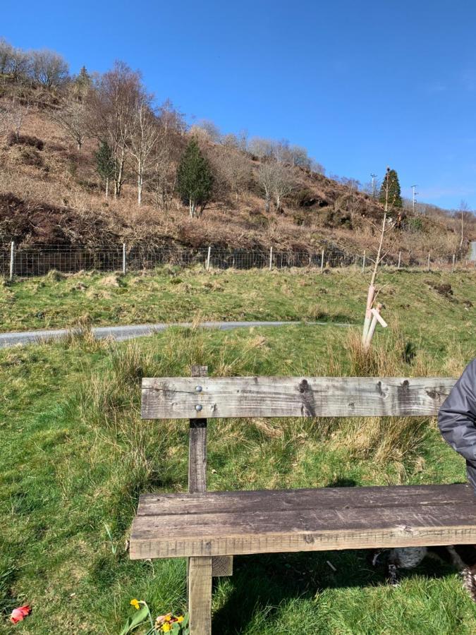 Snowdonia Rock Cottage - cosy&pet friendly Penrhyndeudreath Esterno foto